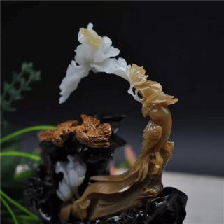 顶级的糖玉长什么样?